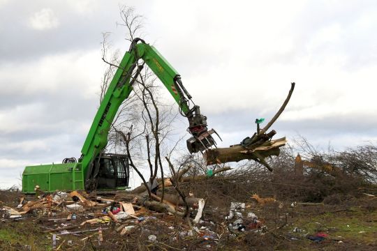 Ein grüner Harvester wirft ein großes abgesägtes Stück eines Baumes auf den Boden, überall sind Holzreste verstreut.