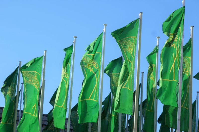 Fahnen mit dem Logo der Grünen Woche - eine gelbe Ähre auf grünem Grund - stehen in einer Reihe und wehen im Wind.