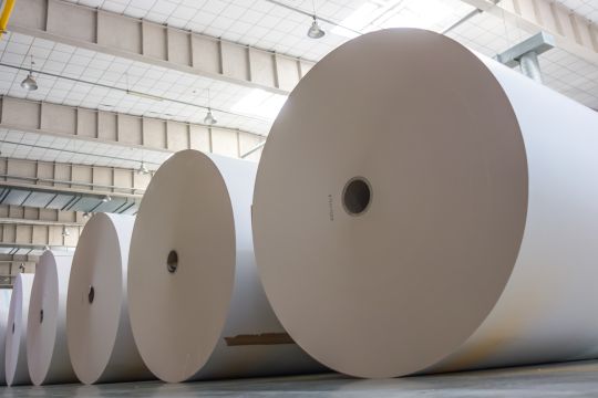 Weiße Papierrollen von mehreren Metern Durchmesser liegen in einer großen Halle.
