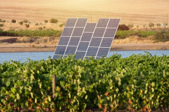 Zu beiden Seiten eines Gewässers stehen Weinreben, dazwischen ragt ein Solarpaneel schräg in die Höhe.