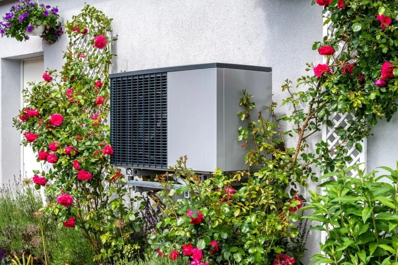 Eine Wärmepumpe an einem Einfamilienhaus, umrahmt von Rosen.