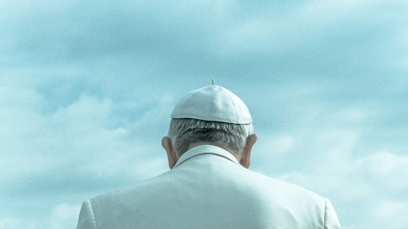 Papst Franziskus ist von hinten und schräg unten zu sehen, über ihm der Himmel.