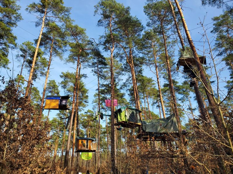 Lichter Kiefernwald mit einigen bunten Baumhäusern, von schräg unten aufgenommen.