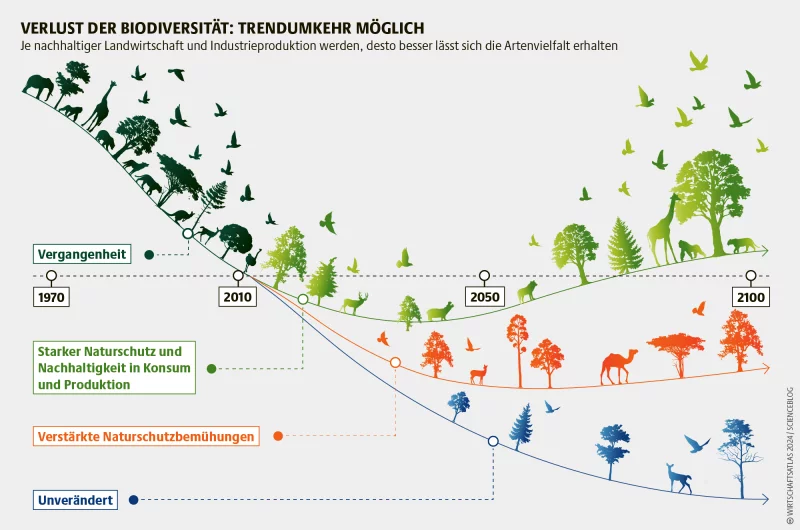 Kurvendiagramm: Nur starker Naturschutz kann die Biodiversität stabilisieren, etwas mehr Naturschutz reicht nicht aus.