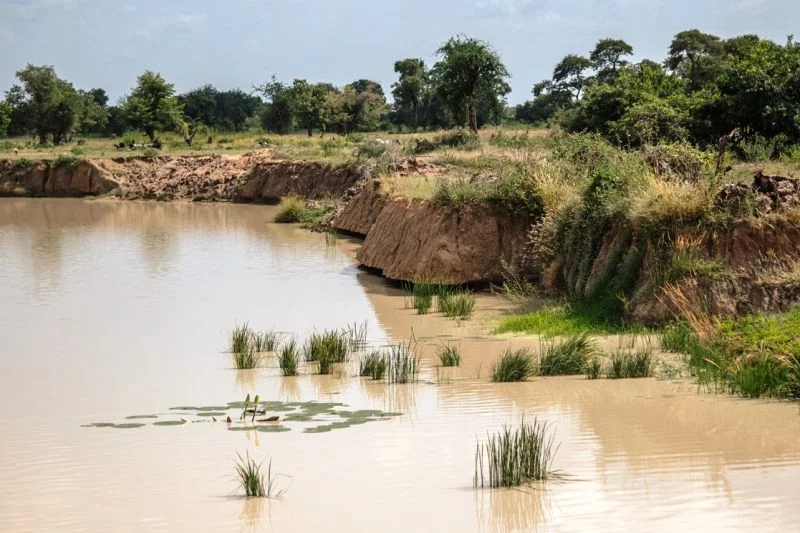 Teich mit steilen Hängen und bräunlichem Wasser, die Umgebung ist etwas bewachsen, im Teich stehen einige Wasserpflanzen.