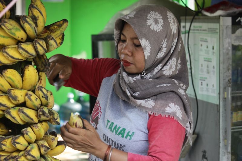 Von einer Bananenstaude bricht Asmania einige Bananen ab, sie ist in T-Shirt und Kopftuch gekleidet.