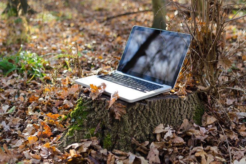 Ein aufgeklappter Laptop auf einem Baumstumpf im Wald.