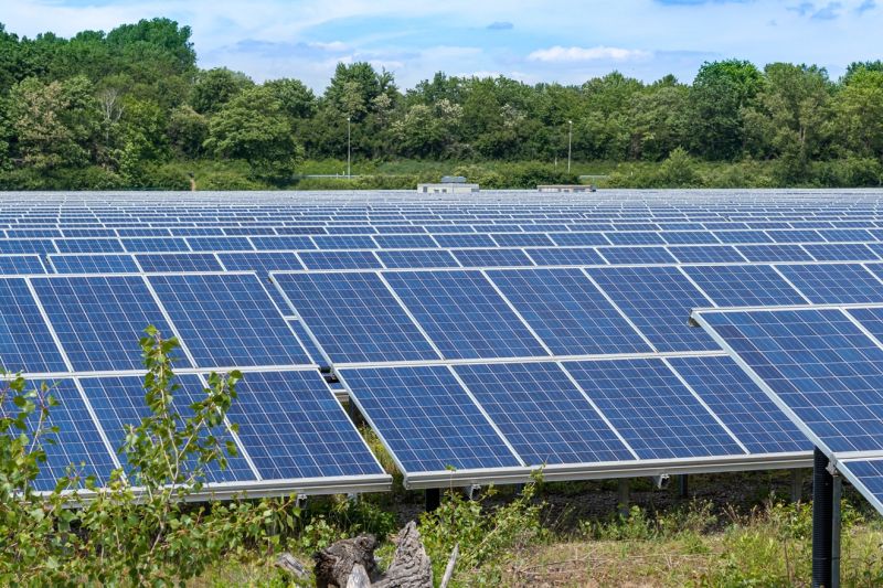 Mittelgroßer Solarpark auf einer Wiese, dahinter ist Wald.
