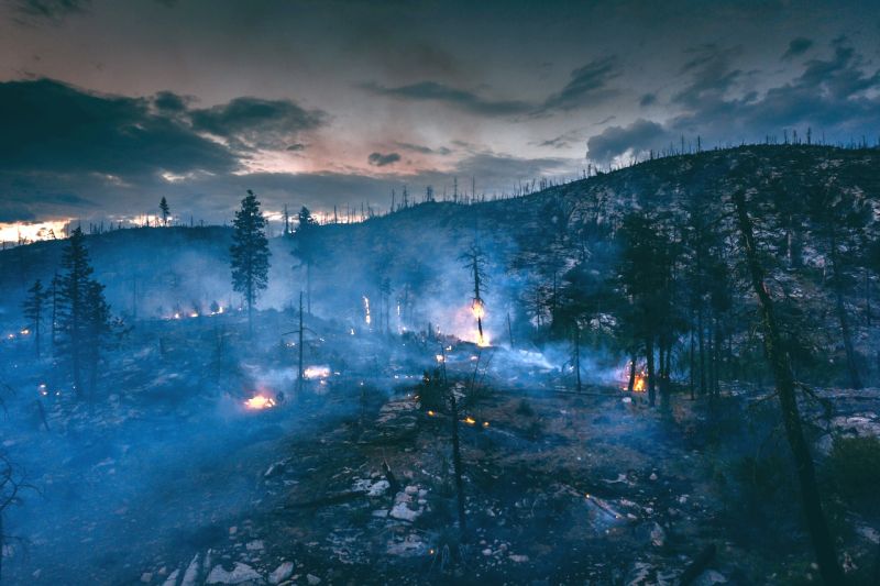 Abgebrannter Wald in bergiger Landschaft, einzelne Bäume brennen noch.