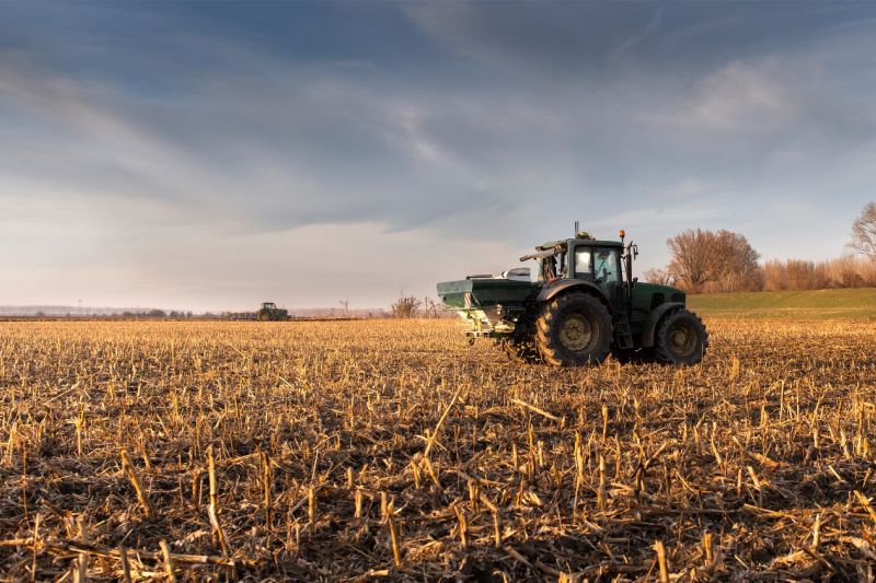 Mit dem Traktor wird Kunstdünger auf einem abgeernteten Maisfeld ausgebracht.