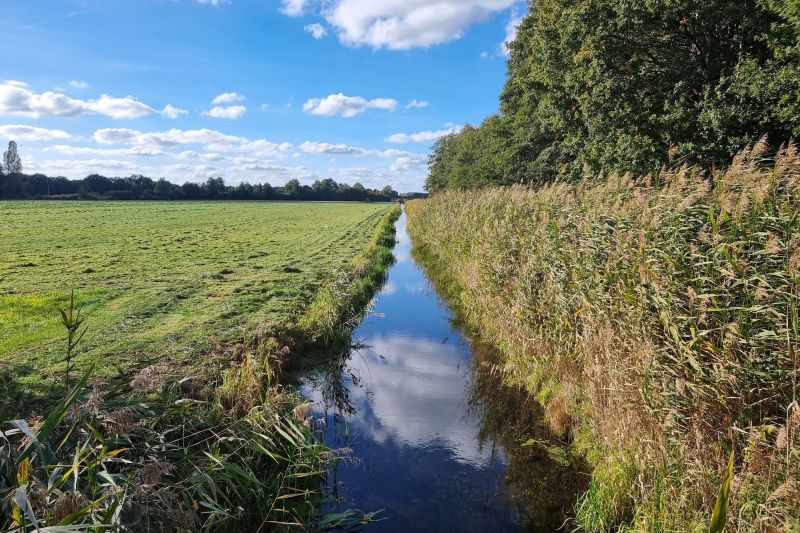 Ein Entwässerungsgraben zwischen Feld und Wald in ebener Landschaft.