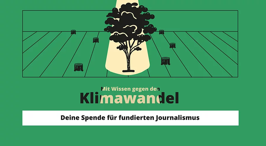 Mit Wissen gegen den Klimawandel – Deine Spende für fundierten Journalismus
